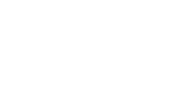 NEXEN Tyres white logo