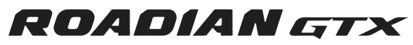 NEXEN Roadian GTX Logo in black