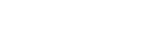 White NEXEN Point Dealer logo