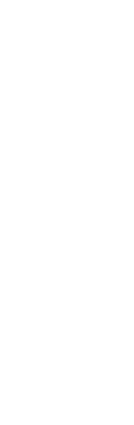 NEXEN Point Dealer logo